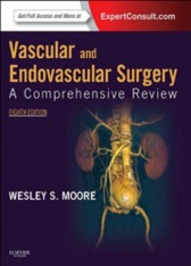 Vascular and Endovascular Surgery A Comprehensive Review